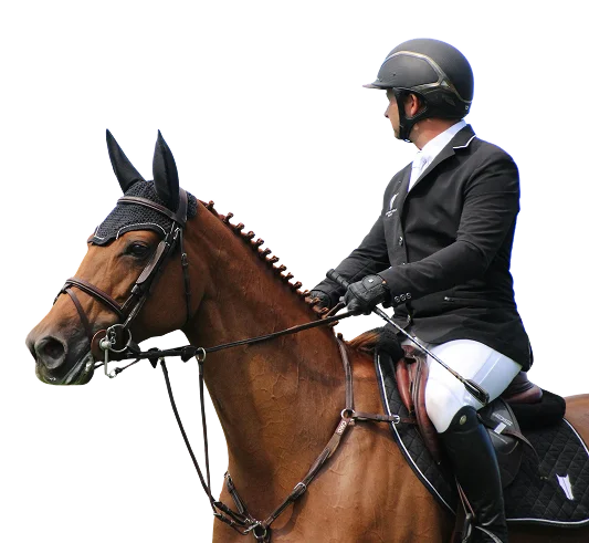 Equestrian rider in formal attire on a horse, wearing helmet and riding gear, preparing for competition or show jumping event