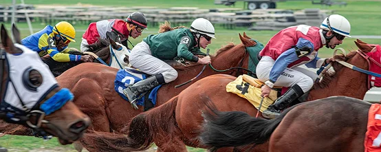 Close-up of horse race pack with jockeys in colorful uniforms riding at high speed during an intense racing competition