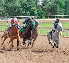 Horse racing action with jockeys riding at speed on a dirt track, competing closely during an intense race event
