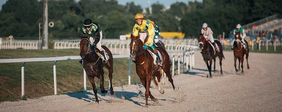 Jockeys racing horses on a track during a competitive horse race, with multiple riders and horses in motion